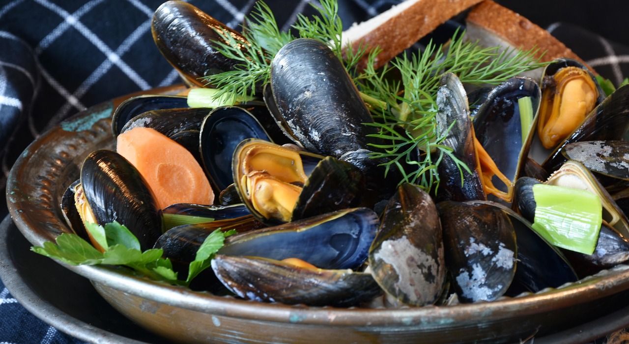 Mussel madness
